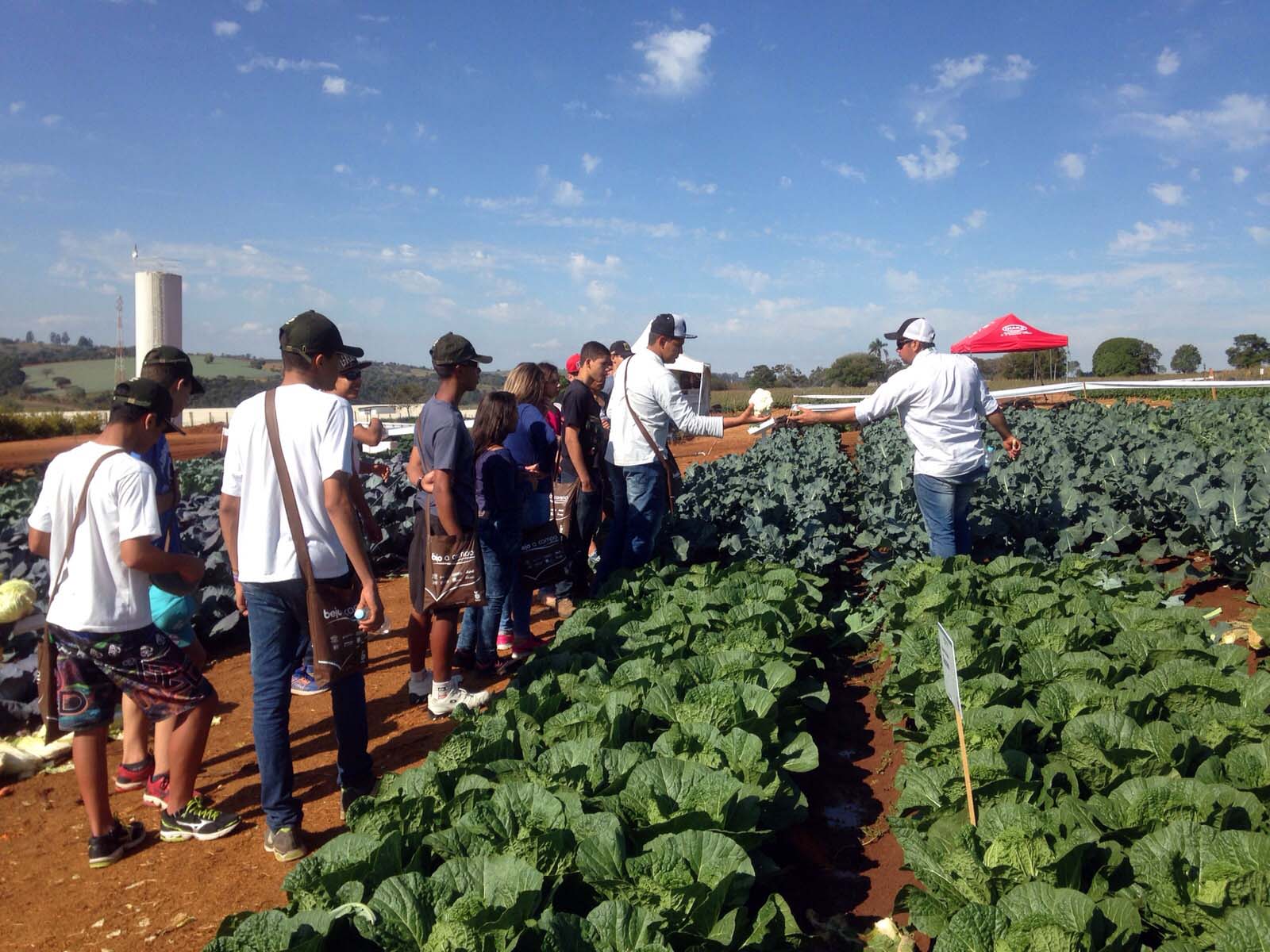 Alunos-do-programa-Jovem-Agricultor-do-Futuro-participam-de-Dia-de-Campo-7