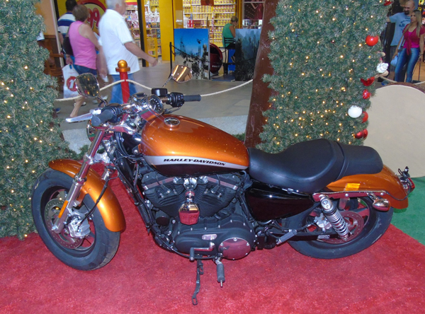 site-Moto---Harley-Davidson