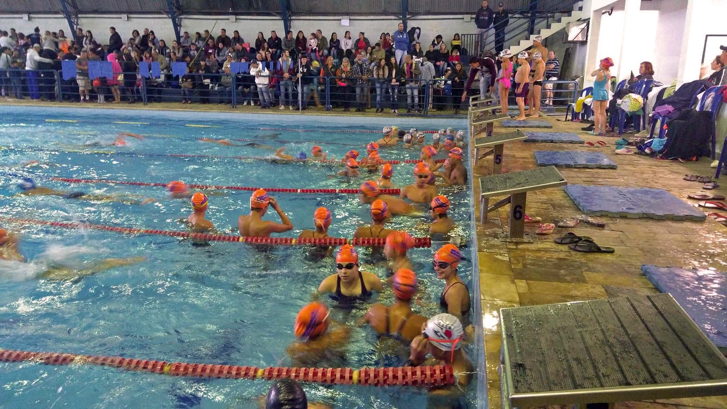 atletas na agua da piscina Maria Astrid Dubard no Bairro Julio Mesquita.