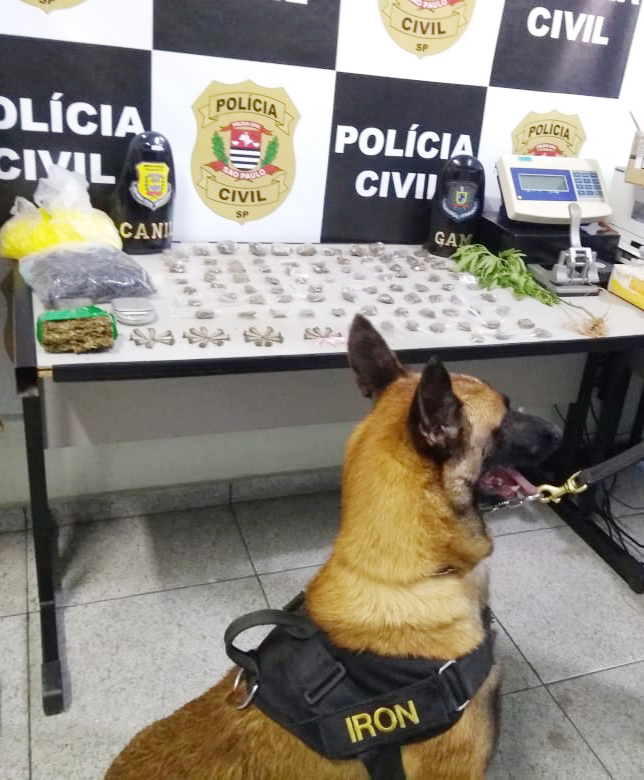 Guarda Civil Municipal atua na prisão de suspeito por tráfico de drogas
