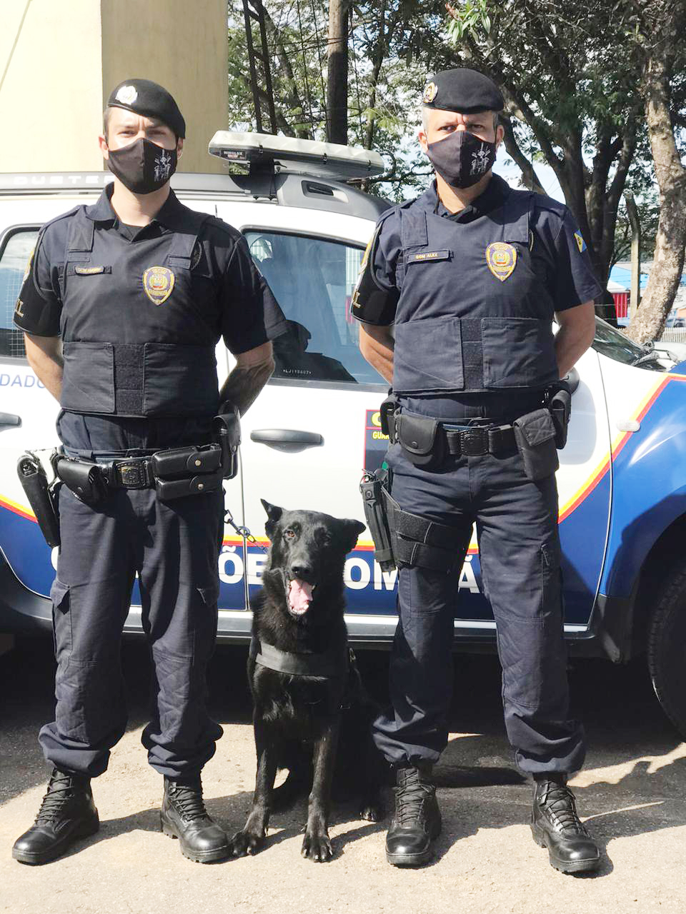Guarda Civil Municipal de Bragança Paulista tem reforço de cão para patrulhamento