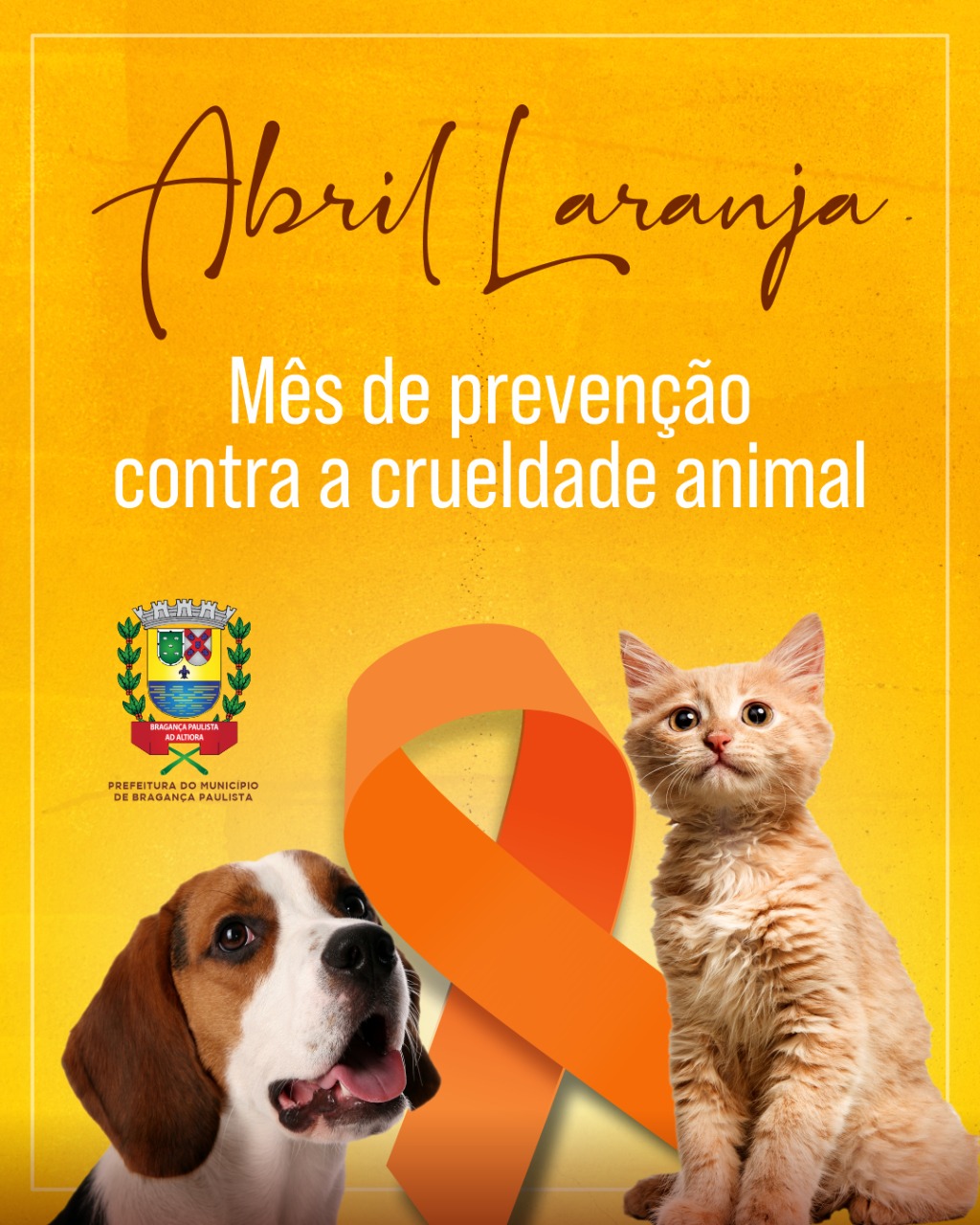 Abril Laranja – Mês de prevenção contra a crueldade animal