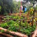 Hortas Escolares e Comunitárias unem teoria e prática para alimentação saudável e educação ambiental em Bragança Paulista