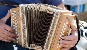 Closeup shot of a male playing the accordion