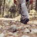 leg-view-hiker-forest