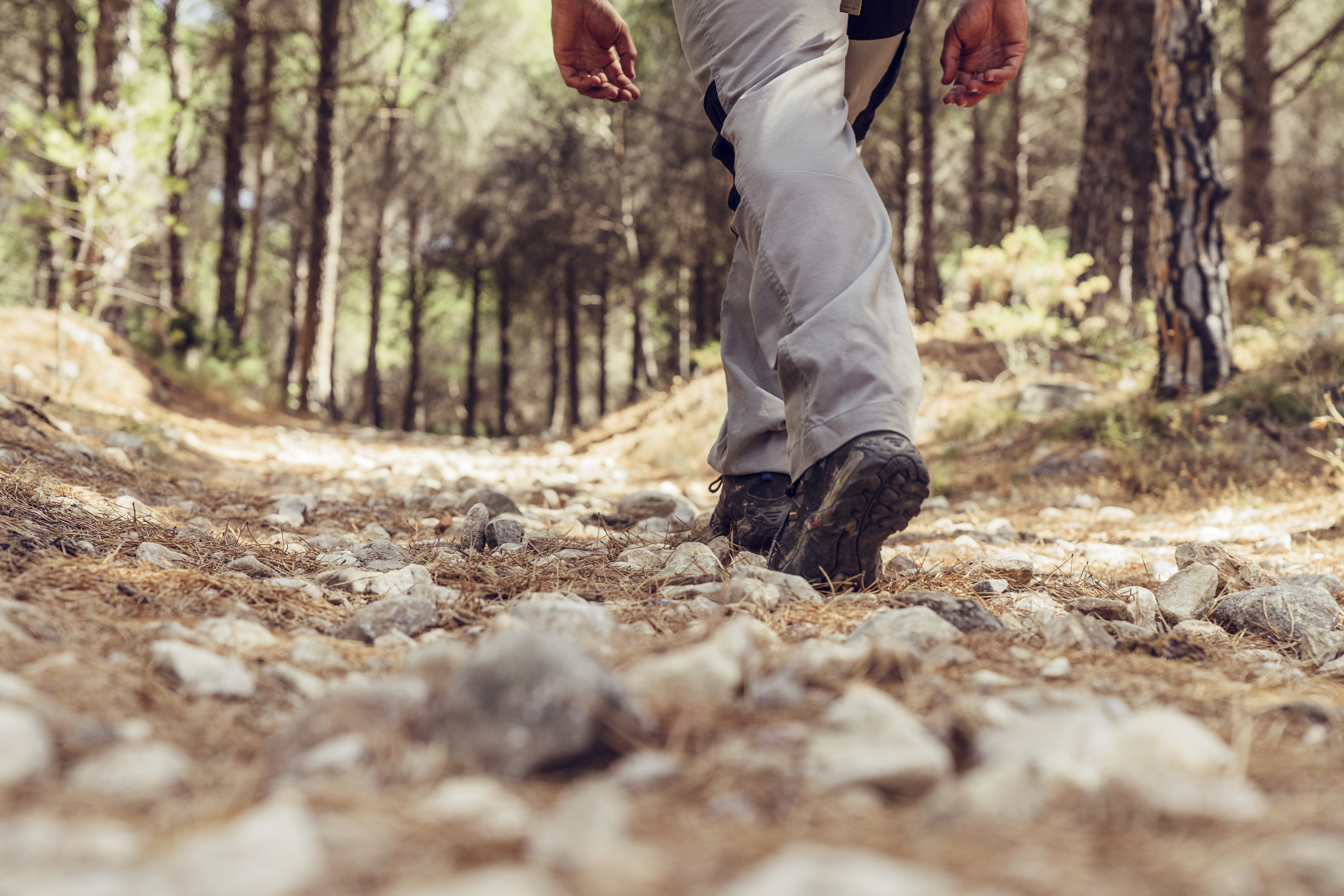 leg-view-hiker-forest