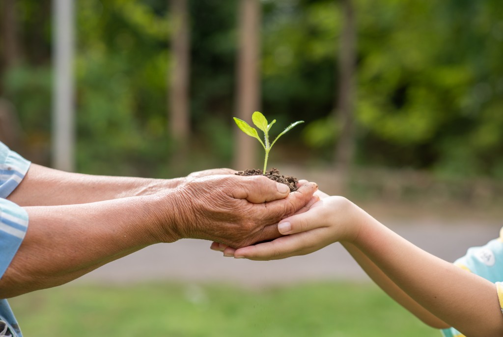 between the hands of the elderly and children