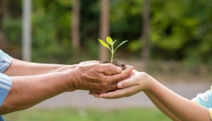 between the hands of the elderly and children