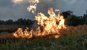 A fire burns in a field with dry grass.