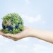 Sustainable living environmentalist hand holding green earth