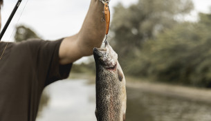 person-fishing-fish-with-rod